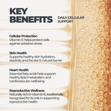Wheat Germ Oil DY Life, 60 Softgels, 30 Servings
