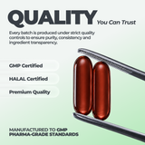 Soy Lecithin DY Life, 60 Softgels, 60 Servings